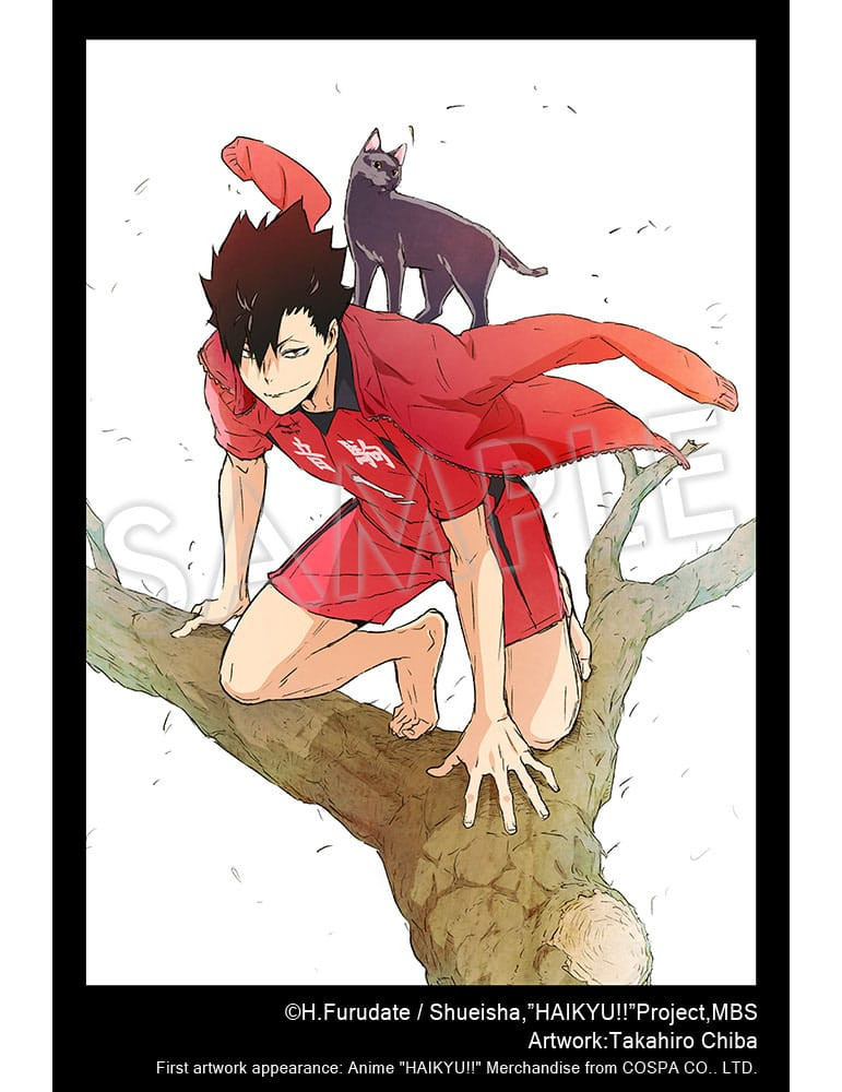 Kotobukiya - Haikyu!! - Tetsuro Kuroo