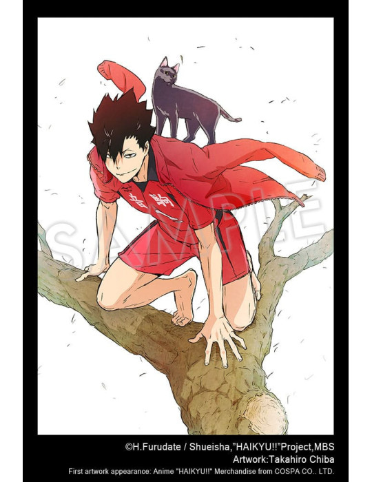 Kotobukiya - Haikyu!! - Tetsuro Kuroo