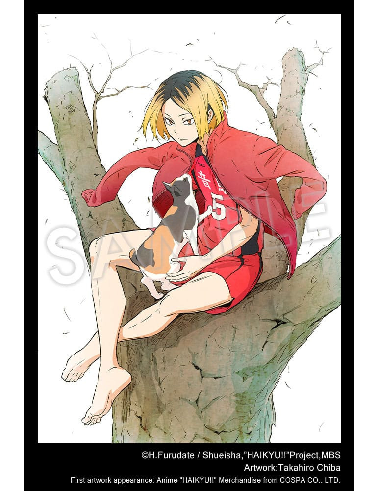 Kotobukiya - Haikyu!! - Kenma Kozume