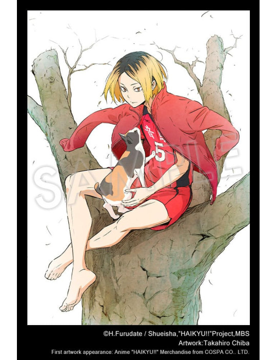 Kotobukiya - Haikyu!! - Kenma Kozume