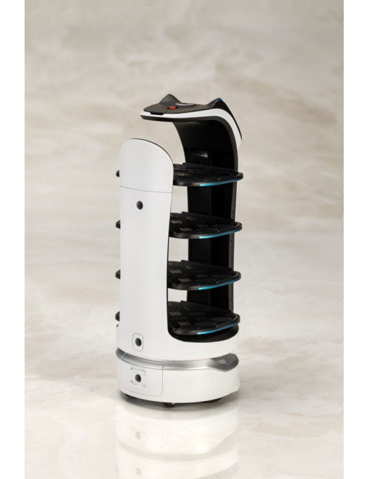 Kotobukiya - Pudu Robotics - figurine Bellabot