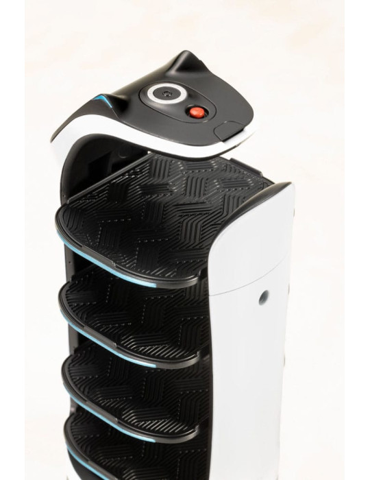 Kotobukiya - Pudu Robotics - figurine Bellabot