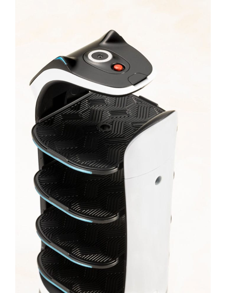 Kotobukiya - Pudu Robotics - figurine Bellabot