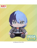 Hatsune Miku: Colorful Stage! Mysekai peluche Toya Aoyagi (S) 13 cm