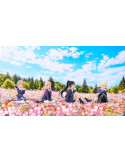 I Want to Love You Till Your Dying Day blind box assortiment figurines mini CHILLfigg Relax 9 cm (4) Vision